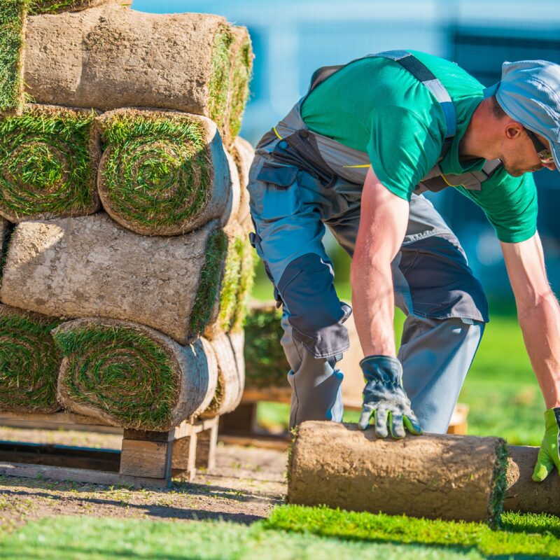 Creative Financing Tips For Landscaping Entrepreneurs With Bad Credit