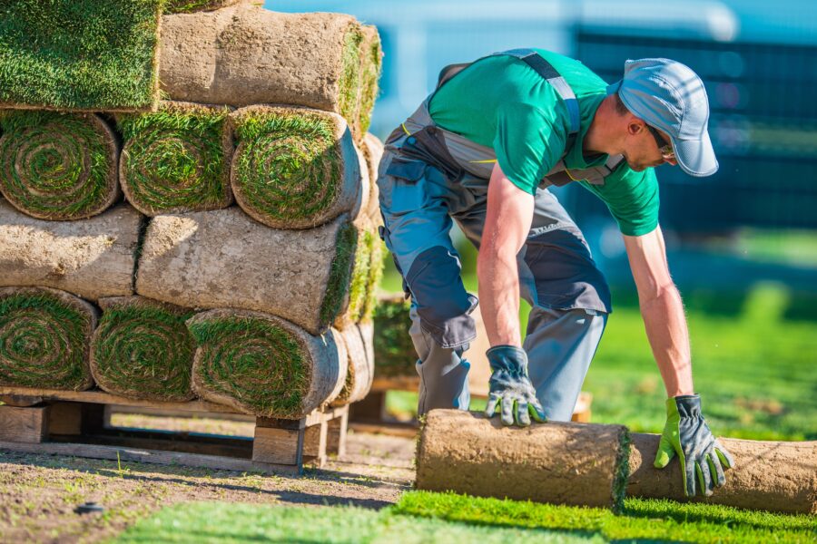 Creative Financing Tips For Landscaping Entrepreneurs With Bad Credit